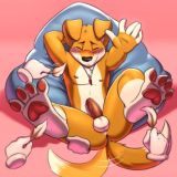 ♂️🏳️‍🌈 [ 🄵 🄶 🄰 🄿 ] 🦊🐺