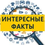 Интересные факты