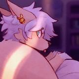 Eat Sleep Yiff Repeat 🦊