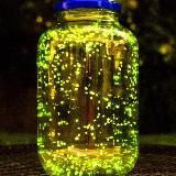 Логово Хикикомори