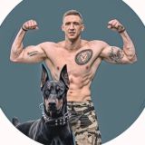 Собачий движ 🐶