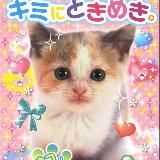 ⊰⊱грибной дождь⊰⊱