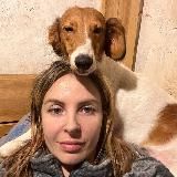 Dog’n’Fox