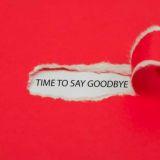 We Love Spammers 😋