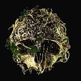 Механика страха