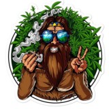 Dealer_Amsterdam