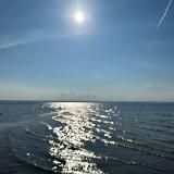 ВООБРАЖАРИУМ. Астрология. Таро.