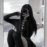 Будка биста 🙈