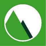 Лесной комплекс