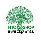 Effectplants