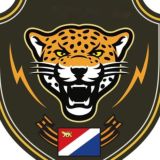 Дальневосточный леопард 25/75