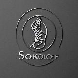 Кроссовки"SokoloFF"