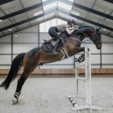 Polina and Horses | коноблог