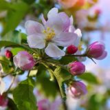 ПОМОГИ СЕБЕ САМ