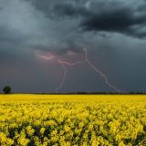 Оперативная Украина