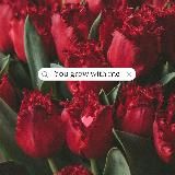 Подоконник Саши 🥦❤️