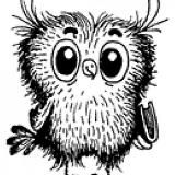 Sowa 🧐 "Монокль"