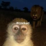 switch #дебошир