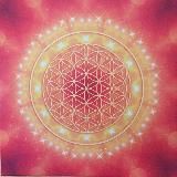 Tanjas Glücksschmiede