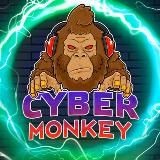 CyberMonkey