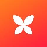 Стартап Мечты | Бизнес & Финансы