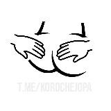 ПРЯМОЙ ЭФИР (переходник)