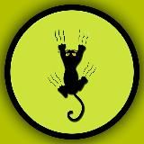 Котовасия 🐾