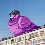 Бесплатные прогнозы от Голубя Фиолетового