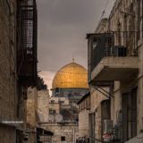 𝐏𝐚𝐭𝐢𝐦𝐮𝐜𝐡𝐢 🐈⬛