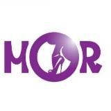 ❤️ASMO. 🖤SHOES❤️