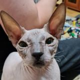 Диалоги 🐈⬛