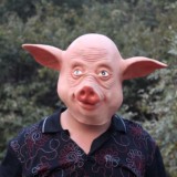 Бред Михайлова