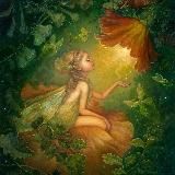 Somniuma - магия предсказания ТАРО