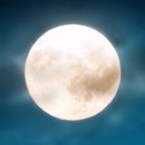 Знаете ли вы, что…