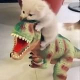 мемная живность