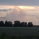 "NIGRATERRA"АКТИВЫ НЕДВИЖИМЫЕ