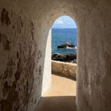 каналь + (жрац home cook)