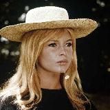 Выставка - переходник