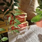 Сонный Читатель 🦋