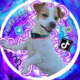 🌱Норка Боні☀️