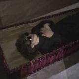 хугарден🕷