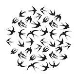 Новости Пенза