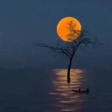 الفرقة الناجية ...