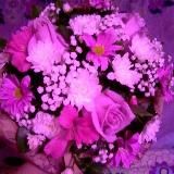 Слив чатов 🍒