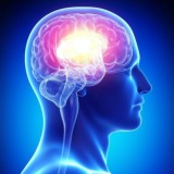 Лекторат🧐