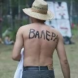 СТАДО КИДАЛ