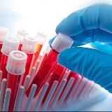 Лучший👍💯