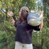 Дашкины Замашки