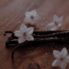 🤍・ ⋆ⴰ✶ฺ.🍦ʙᴀнᥙᴧьныᴇ ʍᴇчᴛы🍨・ ⋆ⴰ✶ฺ.🐈