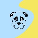 🐾 Happy лапки БФ "Nika Ukraine". Притулок